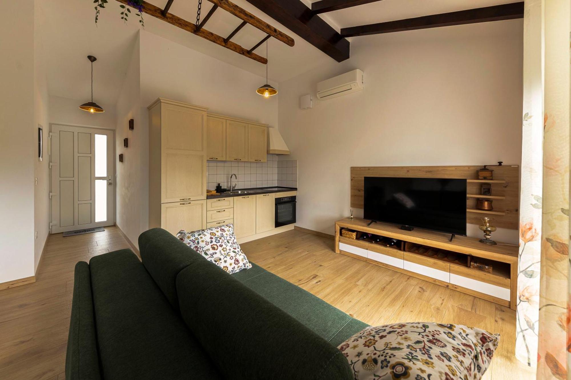 Apartment Brkinka *
