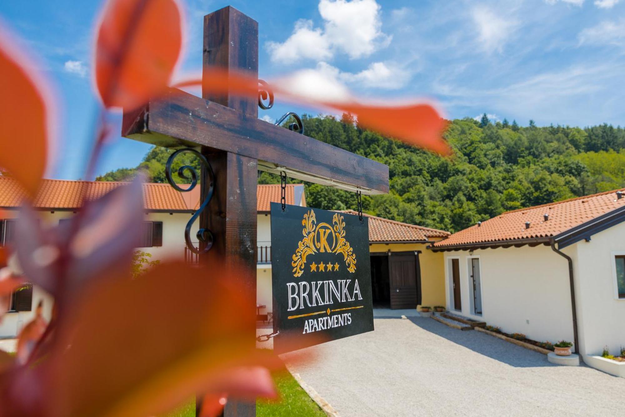 Brkinka Vremski Britof
